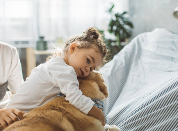 mój najlepszy przyjaciel - child house dog bed zdjęcia i obrazy z banku zdjęć