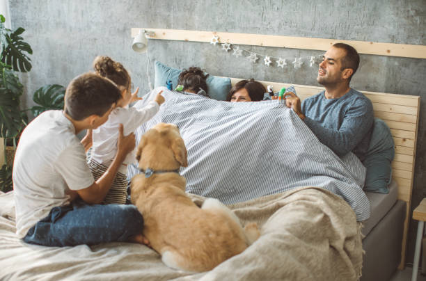 istock Family theater 851604322