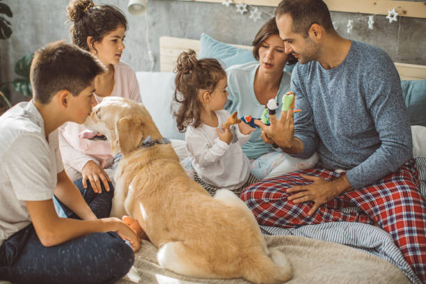 istock Family theater 851612978