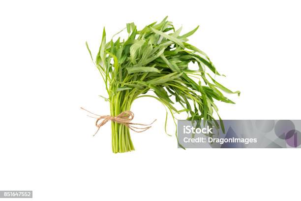 Spring Tarragon Stock Photo - Download Image Now - Agriculture, Baked, Bowl