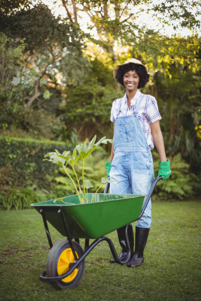 istock Smiling woman pushing wheelbarrow 851666508