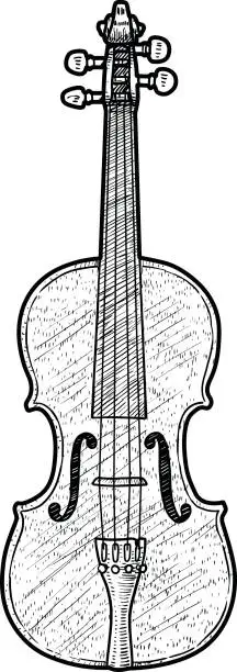 Vector illustration of Violin illustration, drawing, engraving, ink, line art, vector