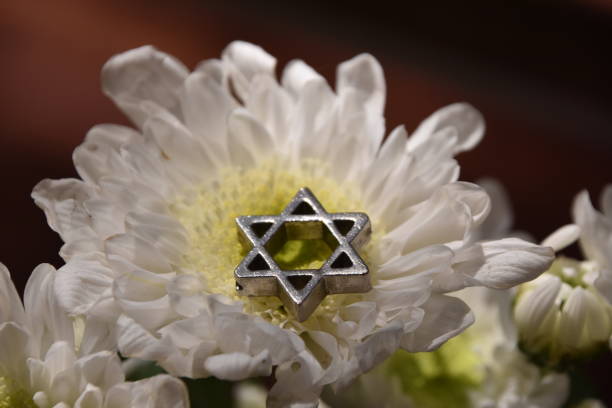 istock Flowers with Star of David 851674762