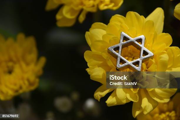 Flores Con Estrella De David Foto de stock y más banco de imágenes de Agresión - Agresión, Amarillo - Color, Arte cultura y espectáculos - iStock Flores Con Estrella De David Foto de stock y más banco de imágenes de Agresión - Agresión, Amarillo - Color, Arte cultura y espectáculos - iStock