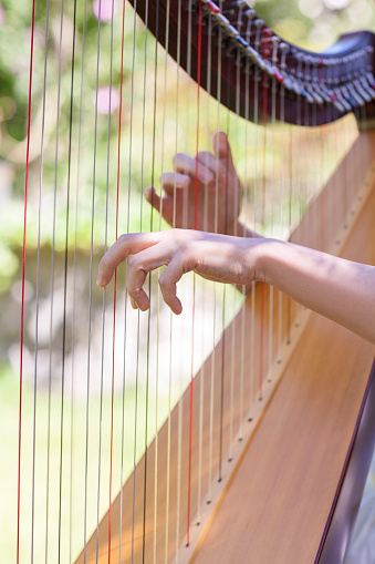 A Japanese female harpist is playing harp in a garden.