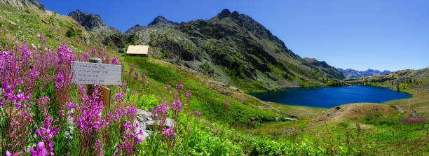 o lac superieur de vens - european alps europe high up lake - fotografias e filmes do acervo