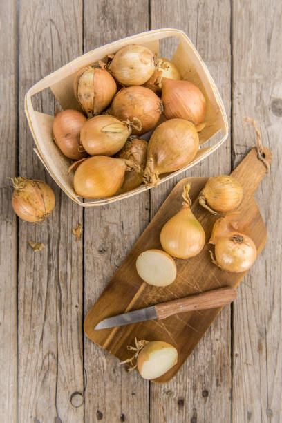 istock Wooden table with White Onions, selective focus 851684984