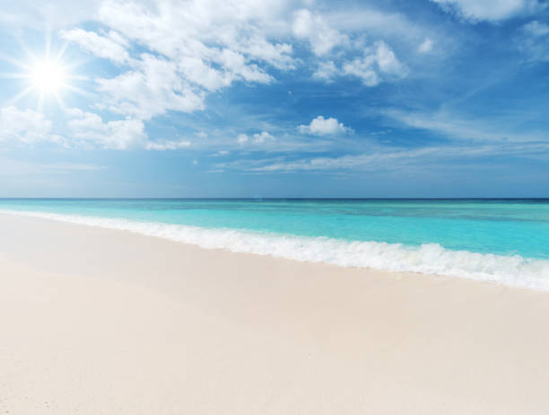 istock Sunny beach and tropical sea 851686084