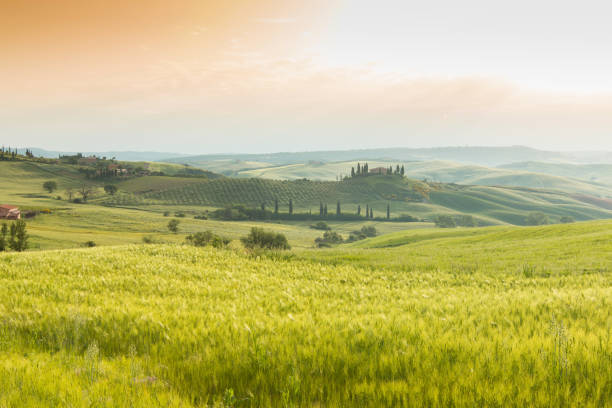 istock Tuscany, panoramic landscape - Italy 851694830