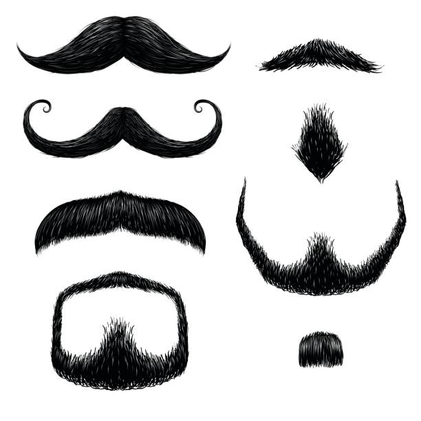 ilustraciones, imágenes clip art, dibujos animados e iconos de stock de bigotes set dibujo mano - barba pelo facial