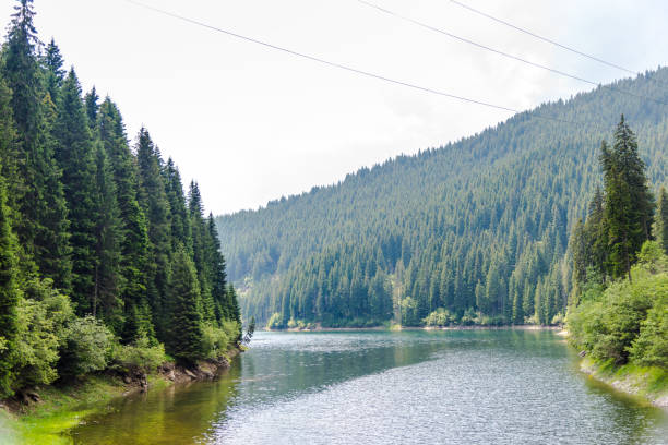 istock lake in the mountains 851699630
