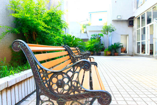 istock Wooden benches in the park 851699796