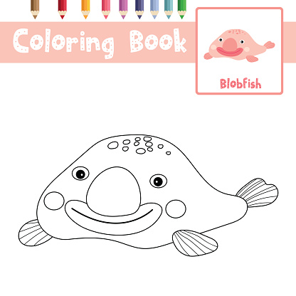 Coloring Page Happy Pink Blobfish Animal Cartoon Character Vector  Illustration Stock Illustration - Download Image Now - iStock