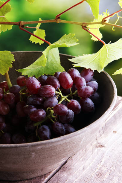 istock Grapes on wooden table and grape leaves . Healthy fresh wine grapes. 851735340