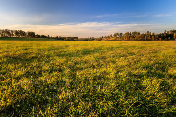 istock Rural field in Autumn season. 851741938