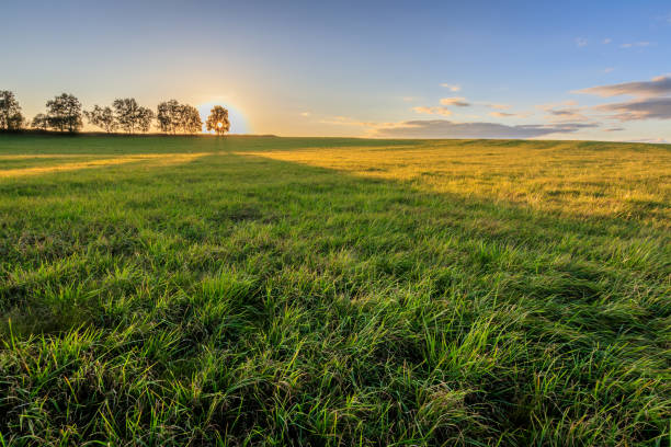 istock Rural field in Autumn season. 851741942