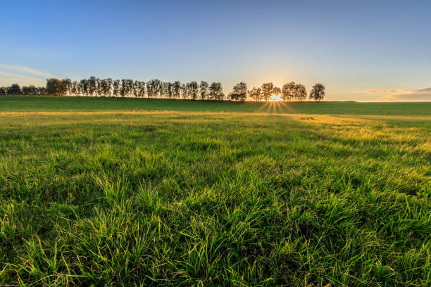 istock Rural field in Autumn season. 851742336