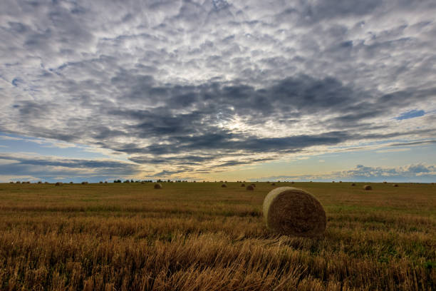 istock Haystacks on the field in Autumn season. 851746294