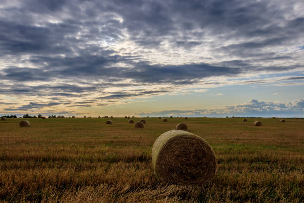istock Haystacks on the field in Autumn season. 851746332
