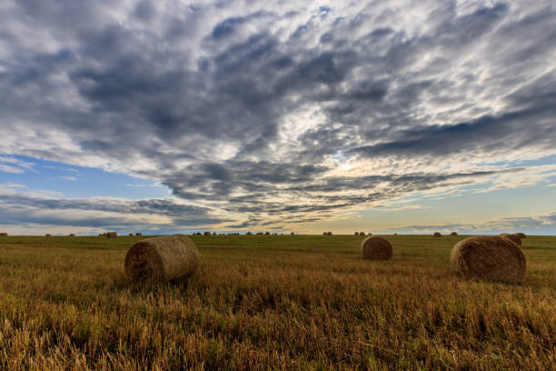 istock Haystacks on the field in Autumn season. 851748420