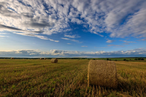 istock Haystacks on the field in Autumn season. 851752750