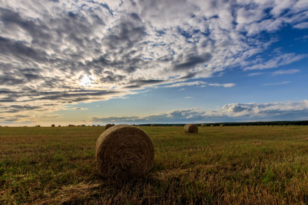 istock Haystacks on the field in Autumn season. 851752756