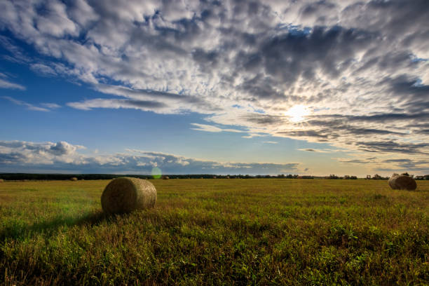 istock Haystacks on the field in Autumn season. 851752800