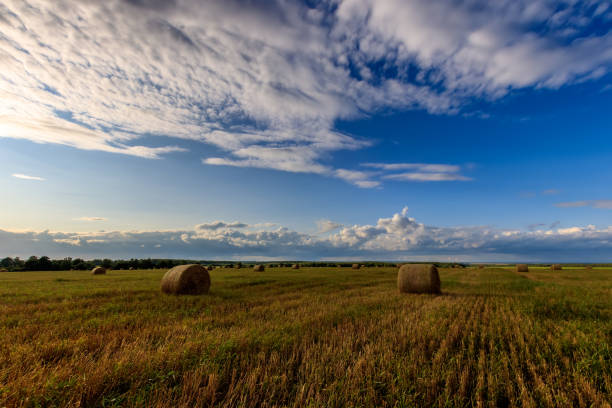 istock Haystacks on the field in Autumn season. 851752826
