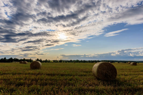 istock Haystacks on the field in Autumn season. 851752848