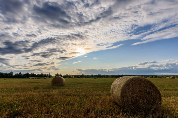 istock Haystacks on the field in Autumn season. 851752878