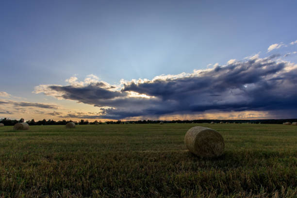 istock Haystacks on the field in Autumn season. 851757500