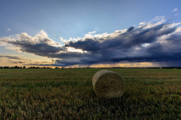 istock Haystacks on the field in Autumn season. 851757574