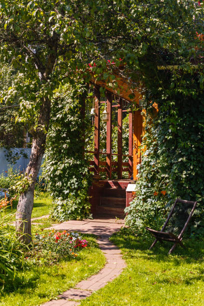 Blossoming garden with view on an entrance to a verandah of a country house