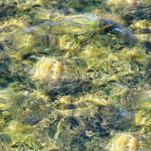 istock seamless texture of water in tiled pool. background, nature. 851758904