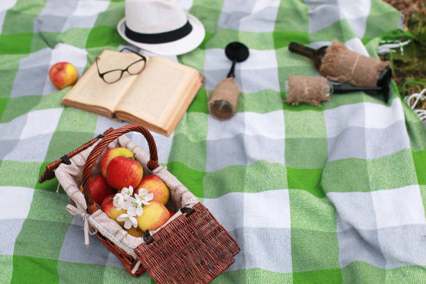 istock basket with food on plaid picnic in spring park 851762940