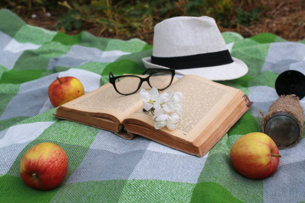 istock basket with food on plaid picnic in spring park 851763002