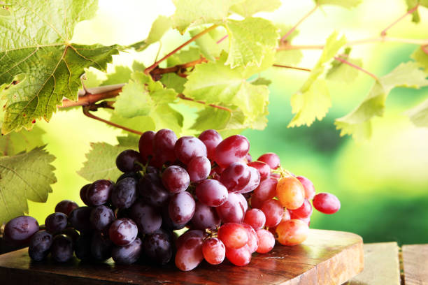 istock Grapes on wooden table and grape leaves . Healthy fresh wine grapes. 851766044
