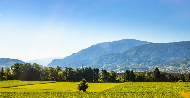 istock Summer panorama of Alps mountains 851766482