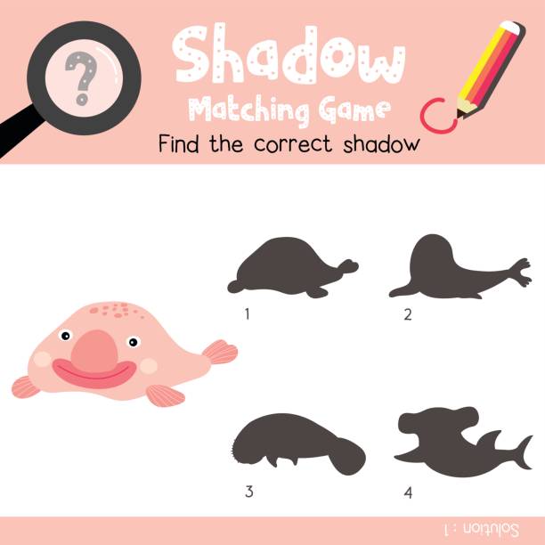 Shadow Matching Game Happy Pink Blobfish Animal Cartoon Character Vector  Illustration Stock Illustration - Download Image Now - iStock