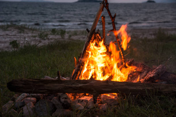 istock fire burning on the beach at night. bright fire, firewood. 851770654
