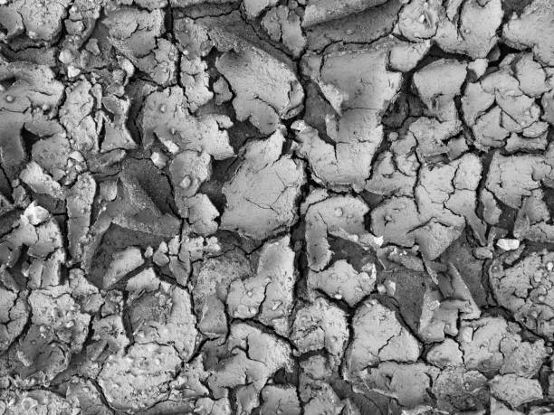 White and black beautiful Earth crack background and surface