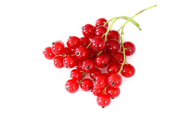 composition of fresh red currant fruits isolated on a white background