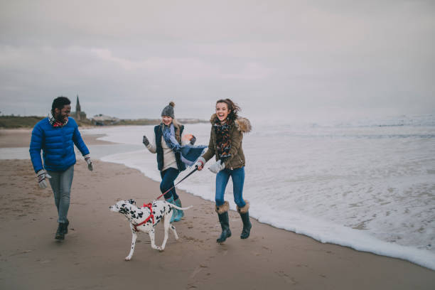 istock Teenagers Walk Dog On Winter Beach 851794678