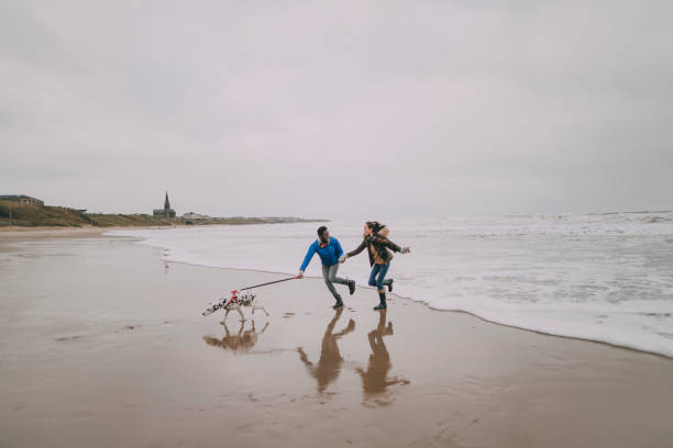 istock Young Couple Dodge Waves On Winter Beach 851794680