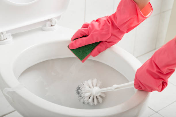 Scrubbing toilet Close up of female hands wearing protective gloves, scrubbing toilet with sponge and brush toilet bowl stock pictures, royalty-free photos & images