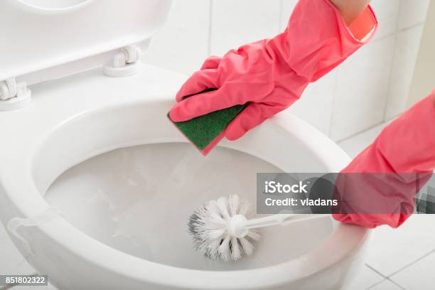 Scrubbing Toilet Stock Photo - Download Image Now - Cleaning, Toilet, Bathroom