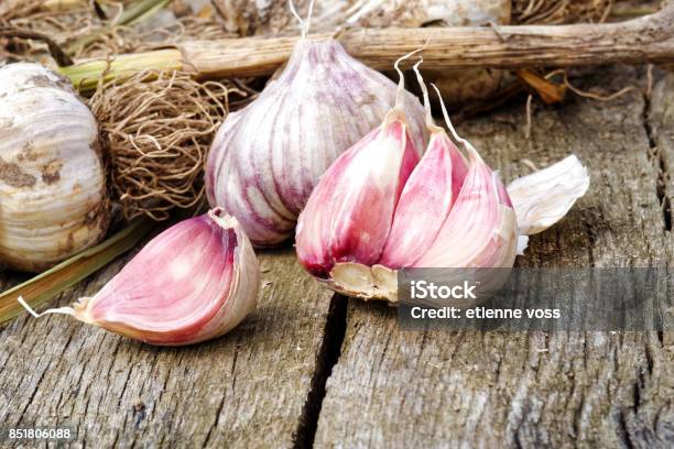 Whole Garlic With Broken Bulb And Pink Cloves On Rustic Wooden Board Stock Photo - Download Image Now