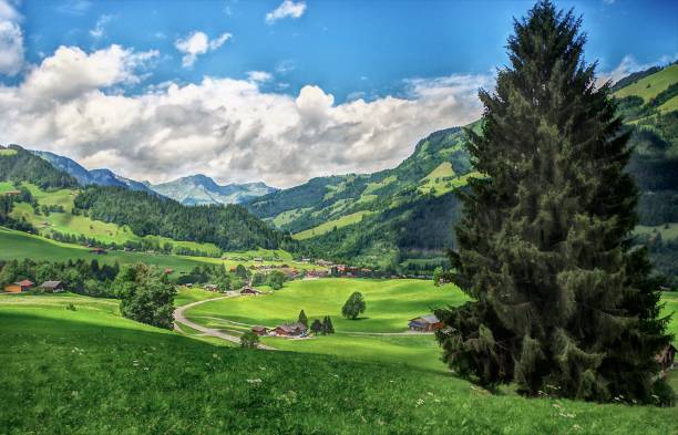 la beauté pastorale des alpes au saanental entre gstaad et château d’oex dans le canton de vaud, suisse - chateau doex photos et images de collection