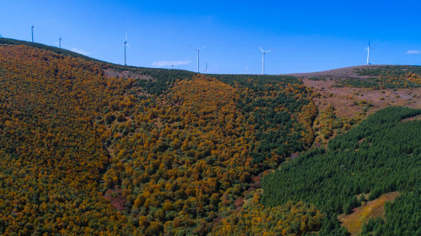 istock Aerial View-landscape at autumn 851806380