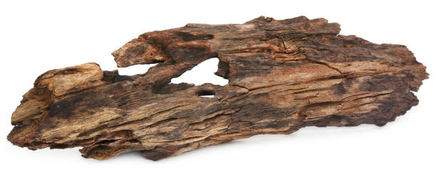 богвуд - driftwood wood textured isolated стоковые фото и изображения